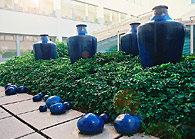 Dachbegrünung: Kunstvolles auf dem Dach (II)