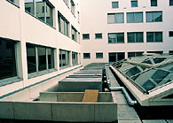 Dachbegrünung: Kunstvolles auf dem Dach (I)